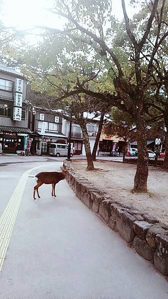 SelfieCity_20180111115941_save.jpg