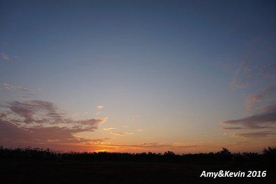 DSC03753.jpg