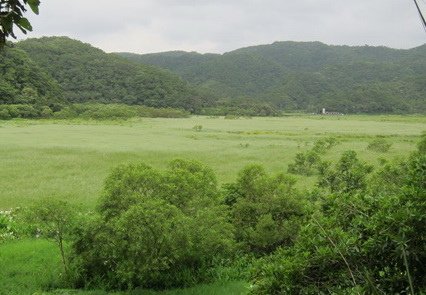 水上草原