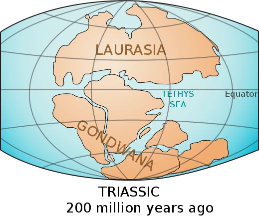 519px-Laurasia-Gondwana.svg