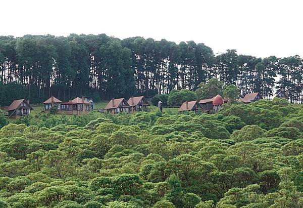 2025年馬拉威獵遊之旅(2)〜馬拉威最北邊的Nyika國家