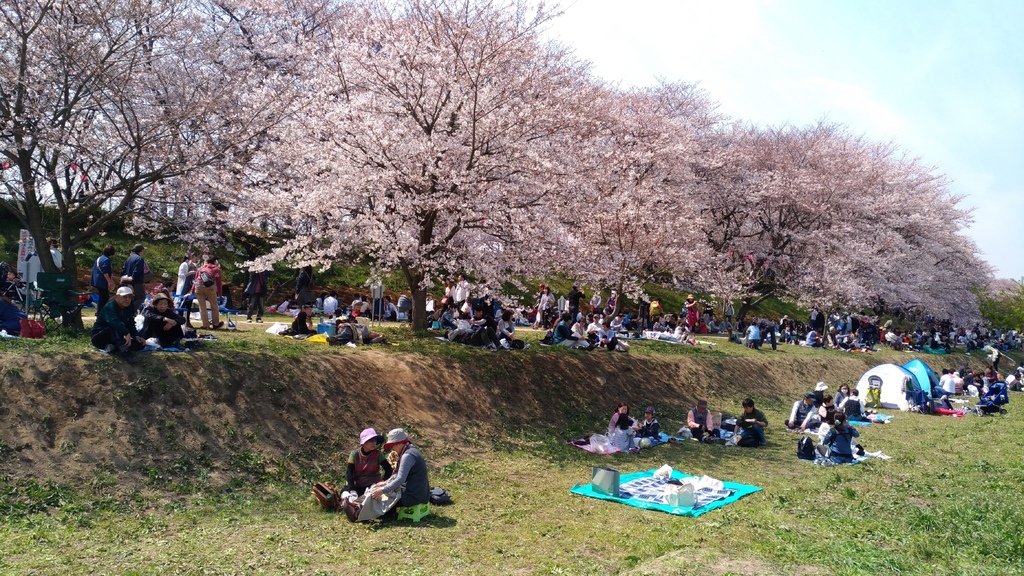 P_20170405_124505.jpg
