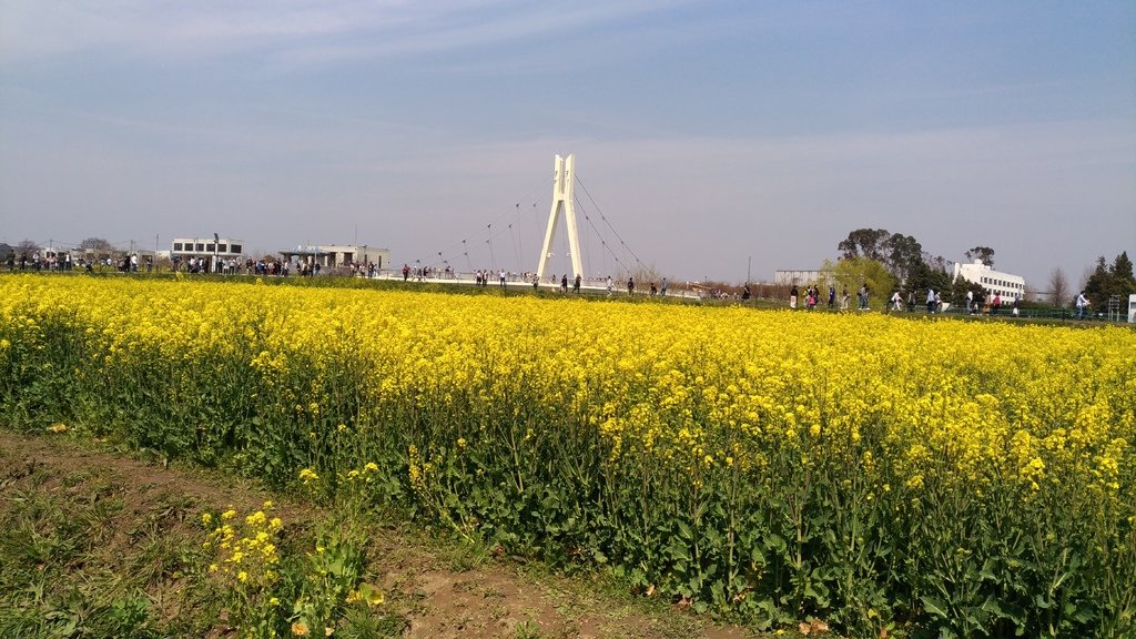 P_20170405_124522.jpg