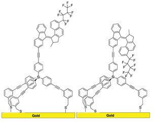 molecular motor