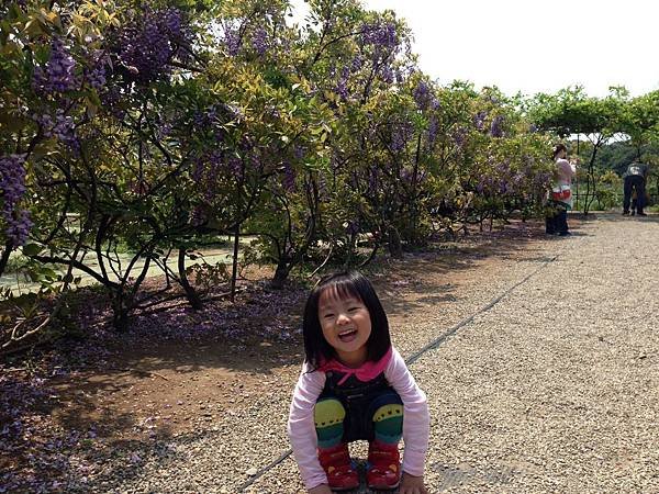 2014.4.05 三芝 紫藤咖啡園