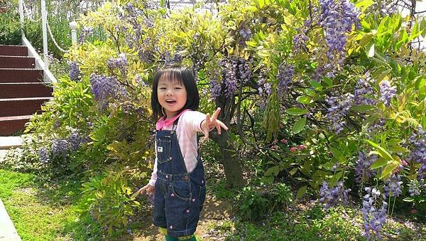 2014.4.05 三芝 紫藤咖啡園