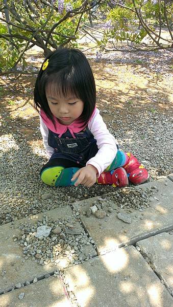 2014.4.05 三芝 紫藤咖啡園