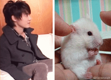astonished mouse