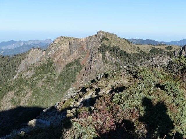 P1000254.JPG