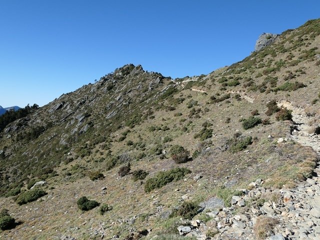 P1000328.JPG