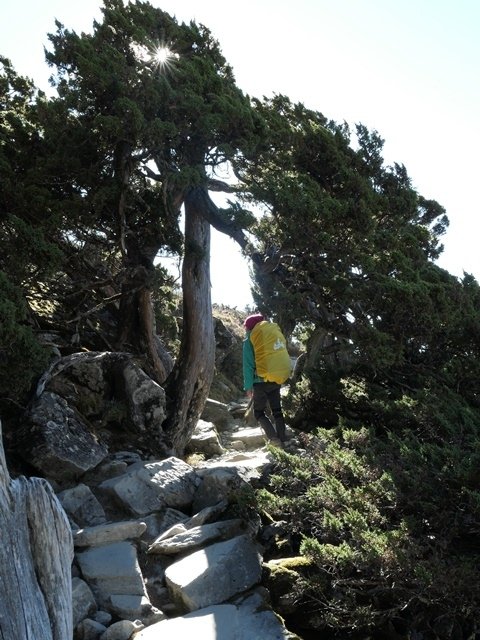 P1000332.JPG