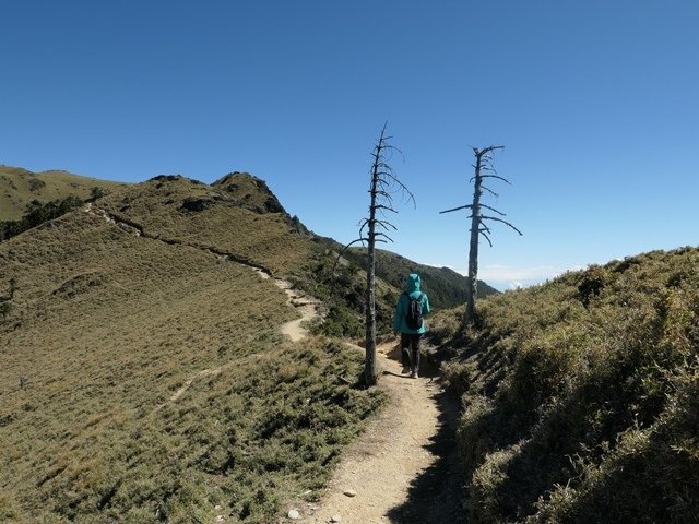 P1000416.JPG