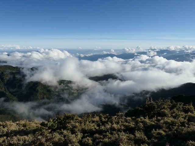 P1000532.JPG