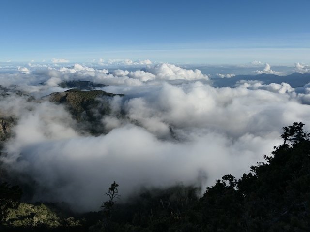 P1000541.JPG