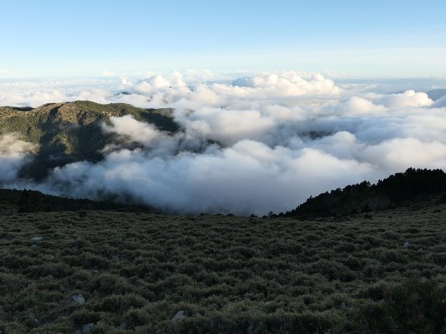 P1000553.JPG