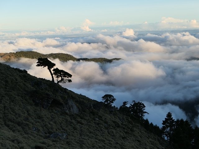 P1000560.JPG