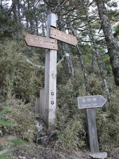 P1000562.JPG