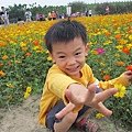 20131124花海 (52).jpg