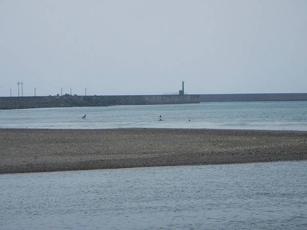DSCN1794