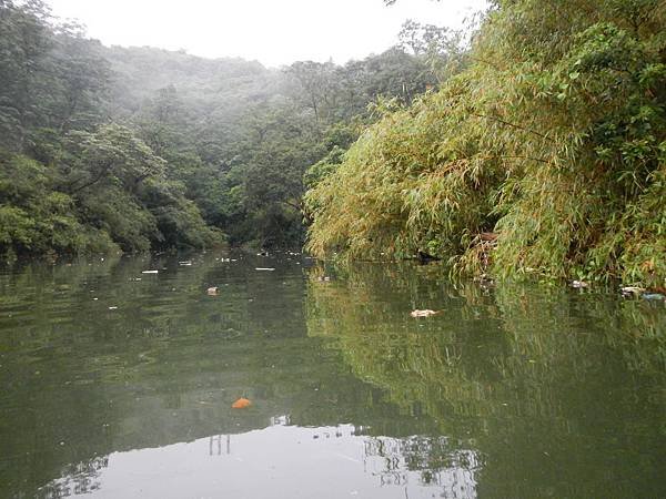 DSCN1909