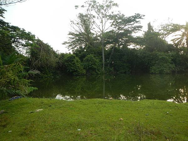 DSCN3993.JPG