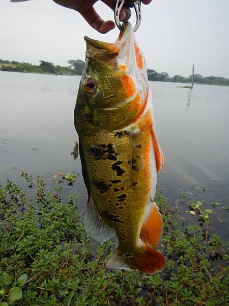 DSCN3994.JPG