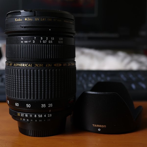 P1020923.jpg
