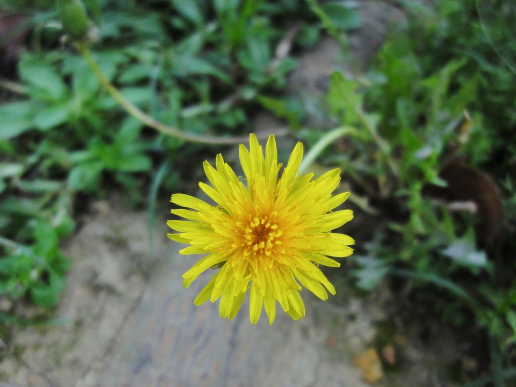 DSC00160