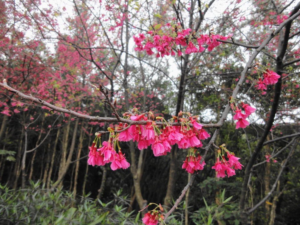 DSC03558小小
