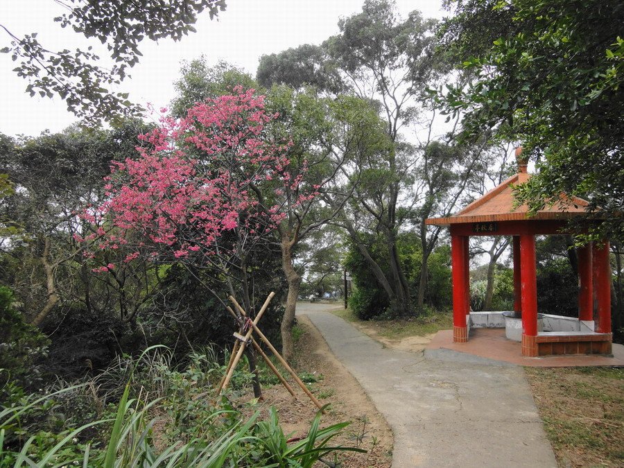 DSC03540小小