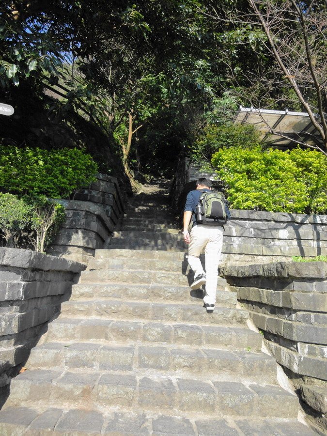 DSC09474小小