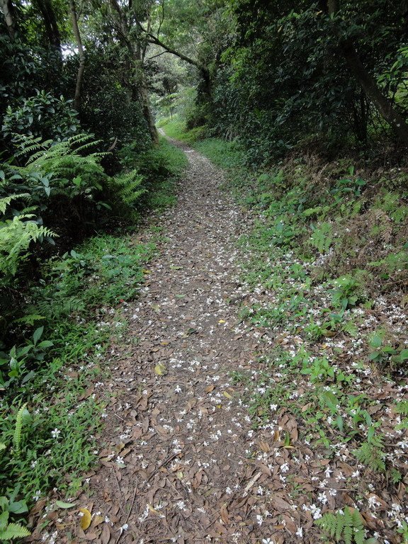 DSC01866小小
