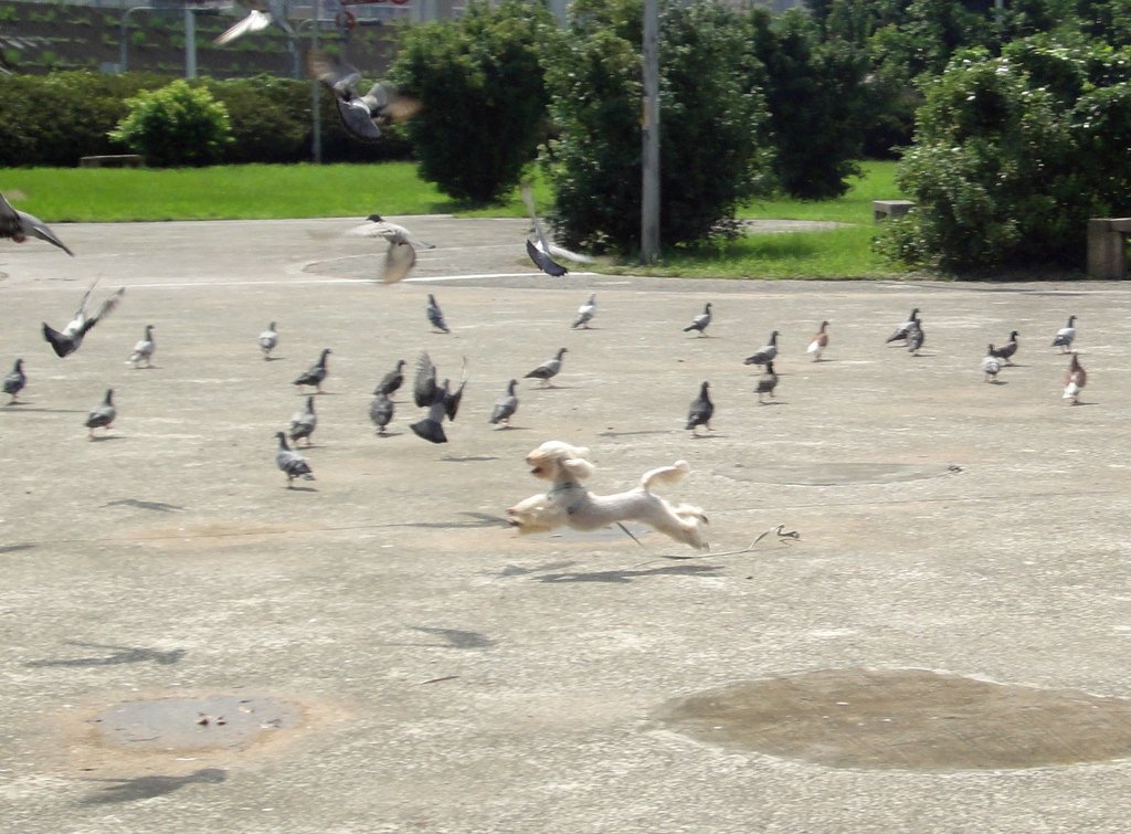DSC05195小小