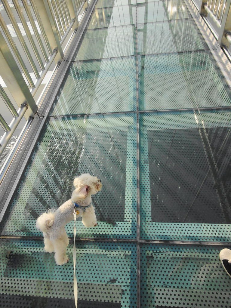 DSC05304小小