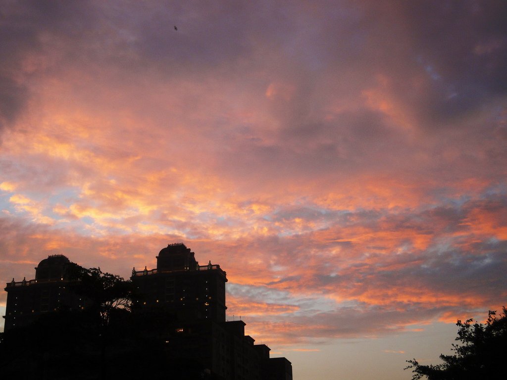 DSC05576小小