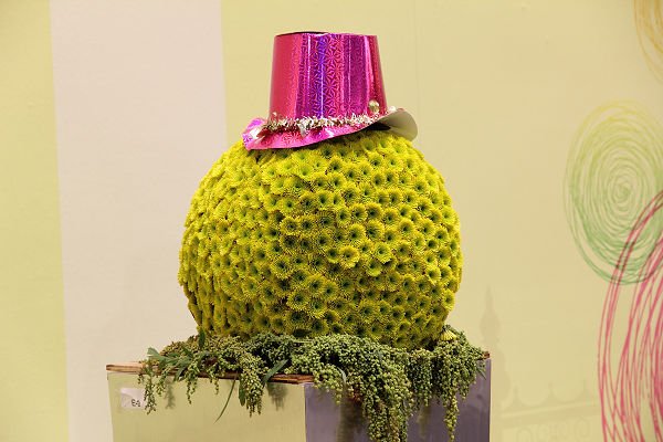 IMG_0568.jpg