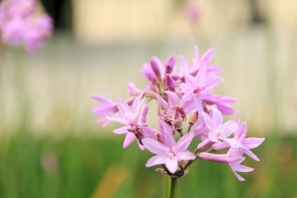 IMG_0495.jpg