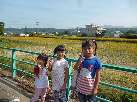 P1120490.JPG