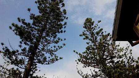 IMG_20140726_162957.jpg
