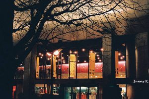 Ueno Park at Night 1