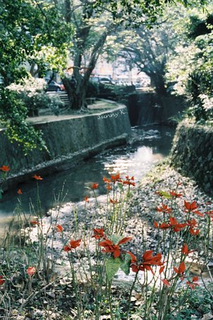 新北投公園