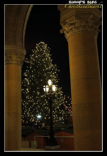 Rathaus Xmas Tree 2.jpg