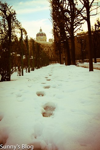 Natural History Museum-Winter 1.jpg