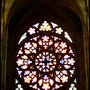 IMG_2946.jpg