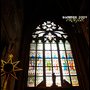 IMG_2954.jpg