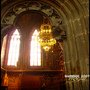 IMG_2955.jpg