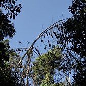 DSC05245.JPG
