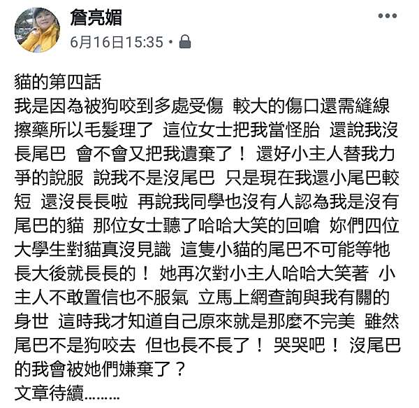 我家有隻台灣純野貓