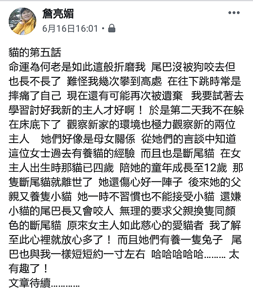 我家有隻台灣純野貓