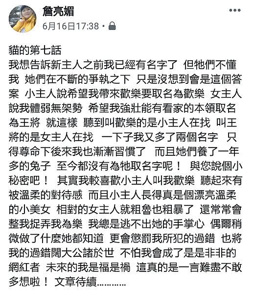 我家有隻台灣純野貓